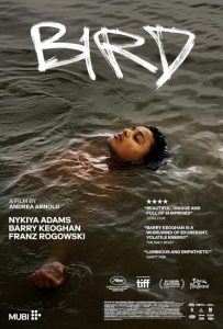 مشاهدة فيلم Bird 2024 مترجم حصرى اون لاين على أكثر من سيرفر