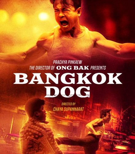 مشاهدة فيلم Bangkok Dog 2024 مترجم حصرى اون لاين على أكثر من سيرفر