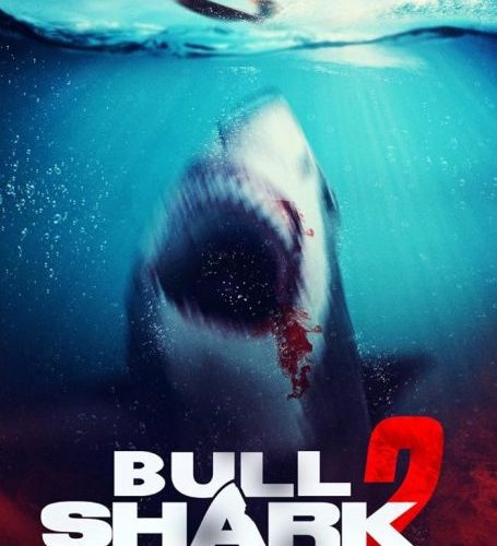 مشاهدة فيلم Bull Shark 2 2024 مترجم حصرى اون لاين على أكثر من سيرفر