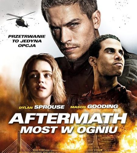 مشاهدة فيلم Aftermath 2024 مترجم حصرى اون لاين على أكثر من سيرفر