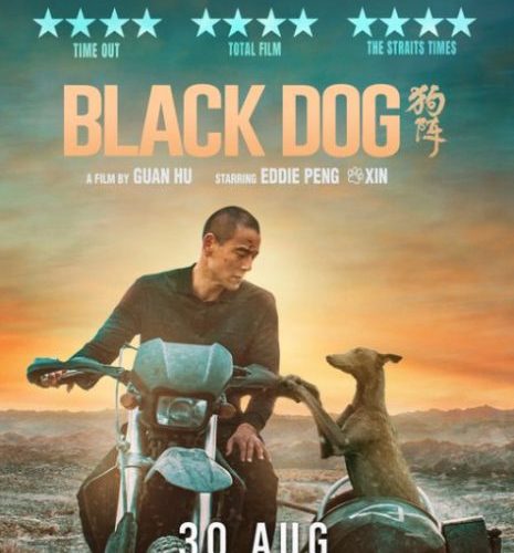 مشاهدة فيلم Black Dog 2024 مترجم حصرى اون لاين على أكثر من سيرفر