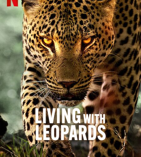 مشاهدة فيلم Living with Leopards 2024 مترجم حصرى اون لاين على أكثر من سيرفر
