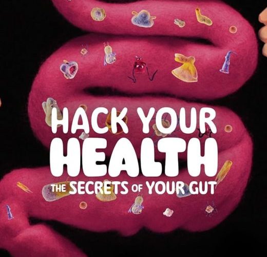مشاهدة فيلم Hack Your Health: The Secrets of Your Gut 2024 مترجم حصرى اون لاين على أكثر من سيرفر