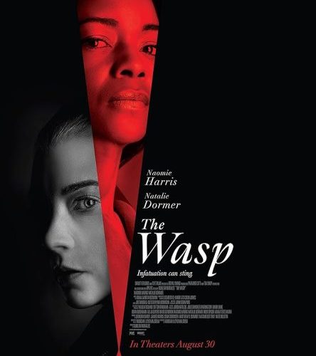 مشاهدة فيلم The Wasp 2024 مترجم حصرى اون لاين على أكثر من سيرفر