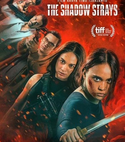 مشاهدة فيلم The Shadow Strays 2024 مترجم حصرى اون لاين على أكثر من سيرفر