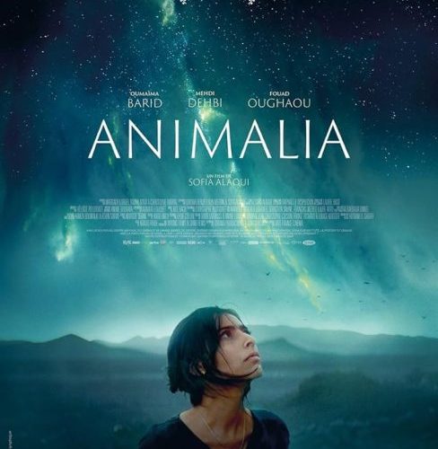 مشاهدة فيلم Animalia 2023 مترجم حصرى اون لاين على أكثر من سيرفر