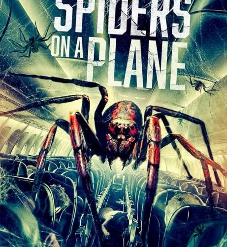 مشاهدة فيلم Spiders on a Plane 2024 مترجم حصرى اون لاين على أكثر من سيرفر